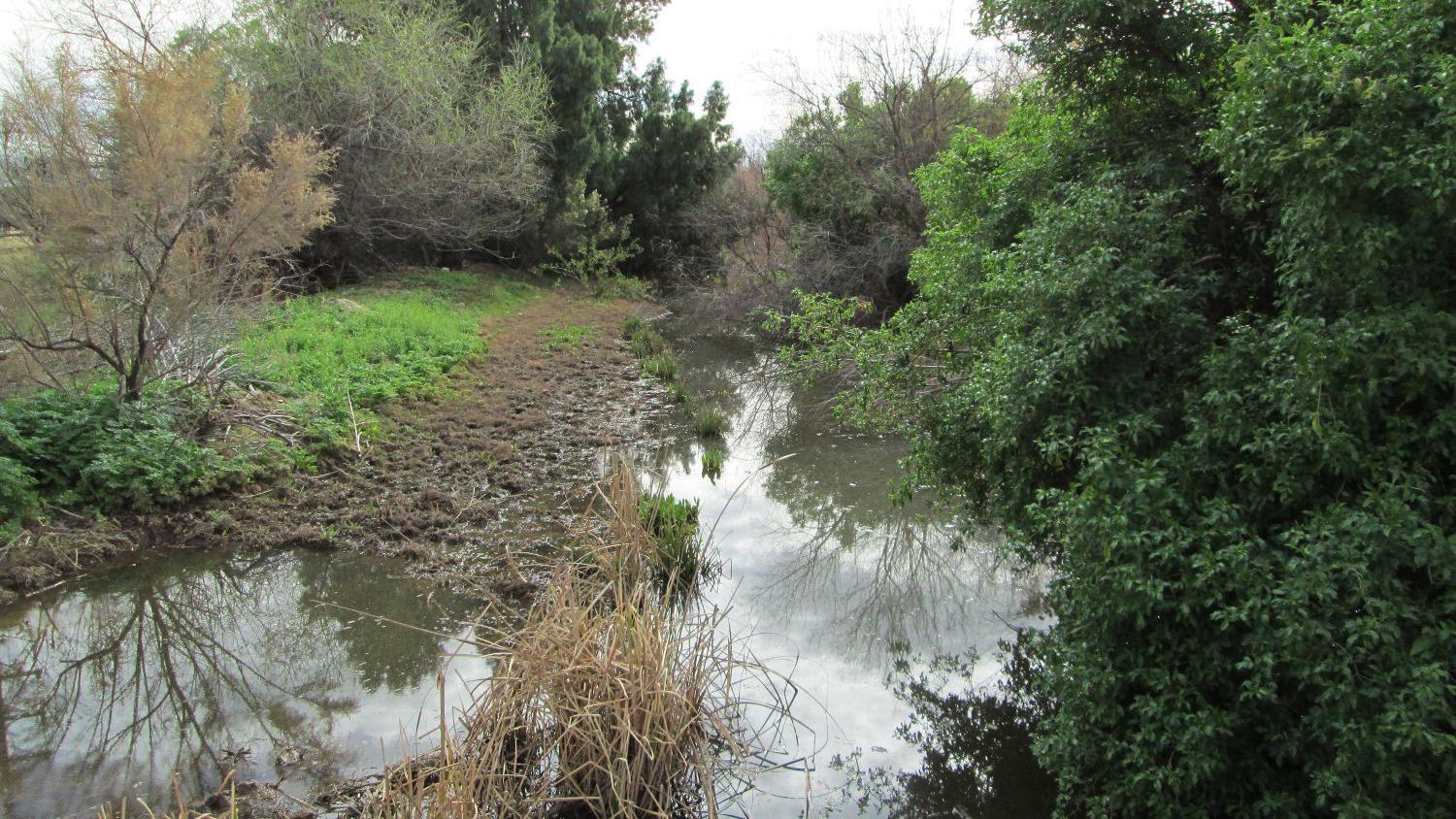 Santa Cruz stretch pitted against competing water needs